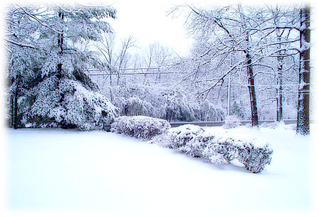 Snow in the front yard